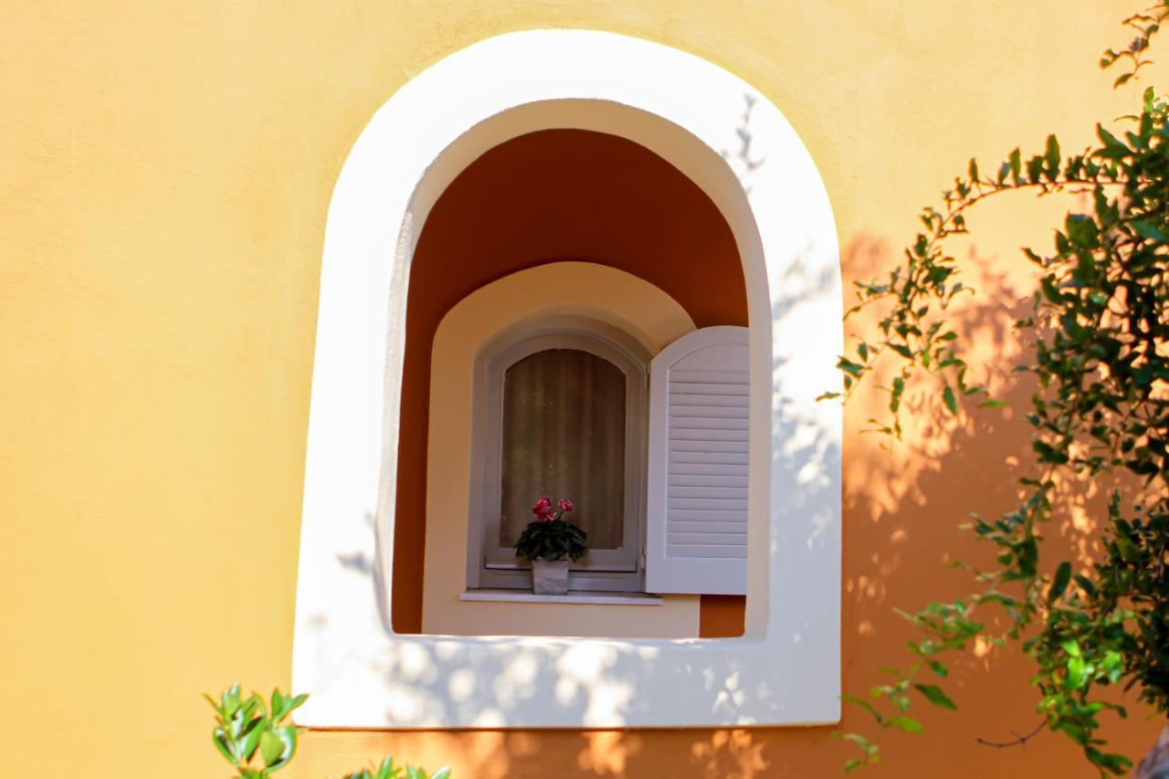 Nocleg ze śniadaniem Navigator - Acharavi (Corfu)